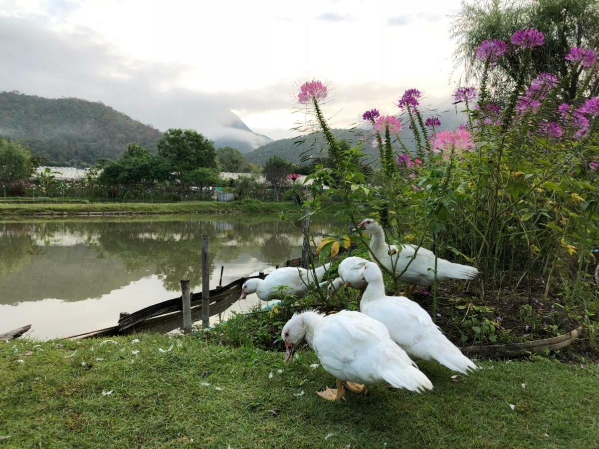 Farmstay At Pai Exteriör bild